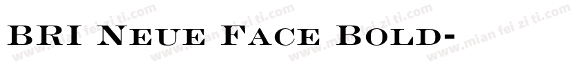 BRI Neue Face Bold字体转换